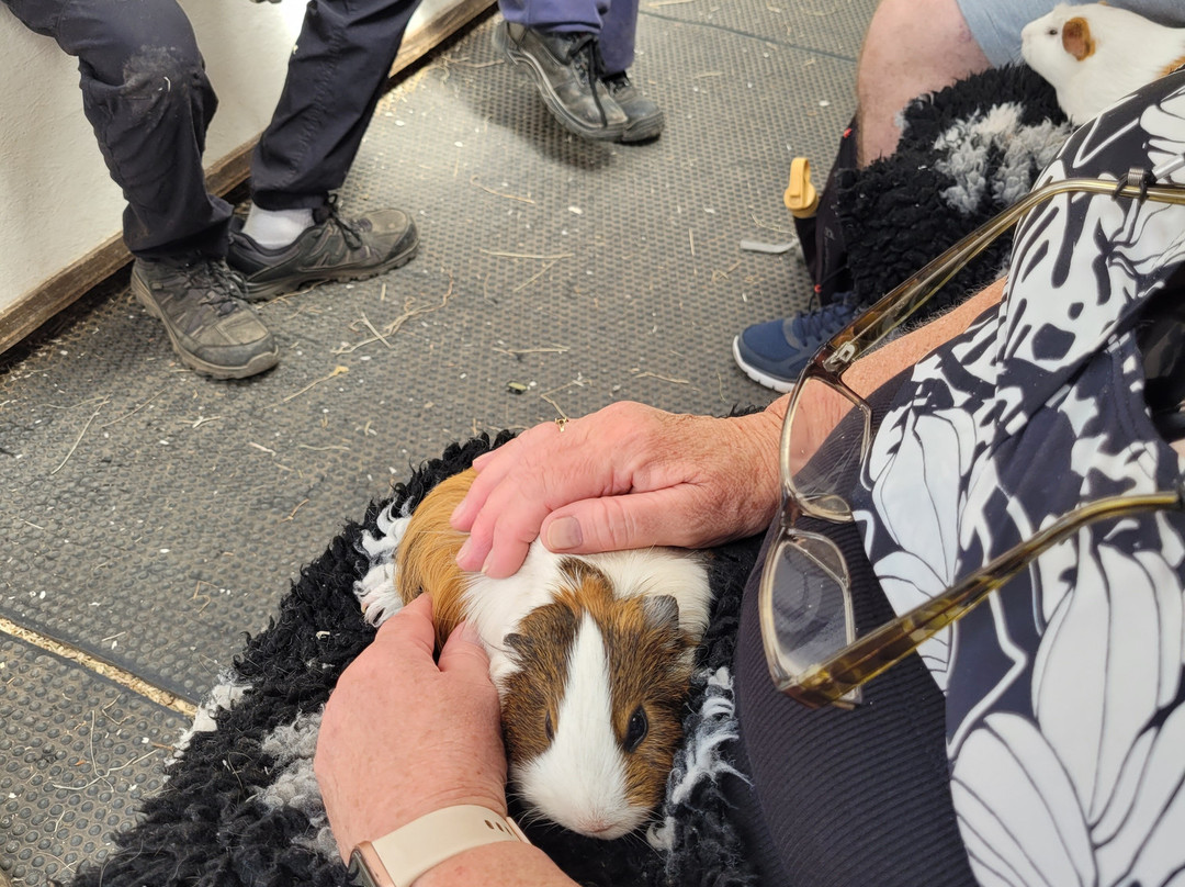 Totnes Rare Breeds Farm-托特尼斯必去景点