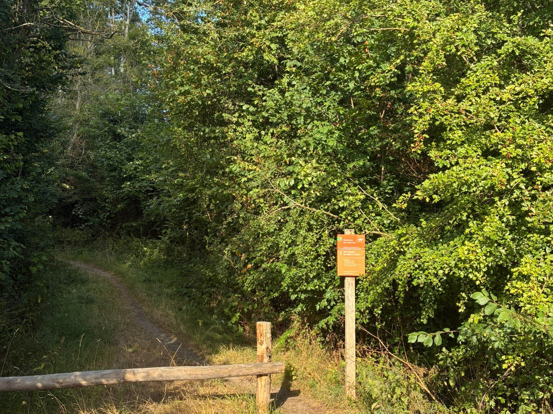 Boswachterspad Veerse Bos-Veere必去景点
