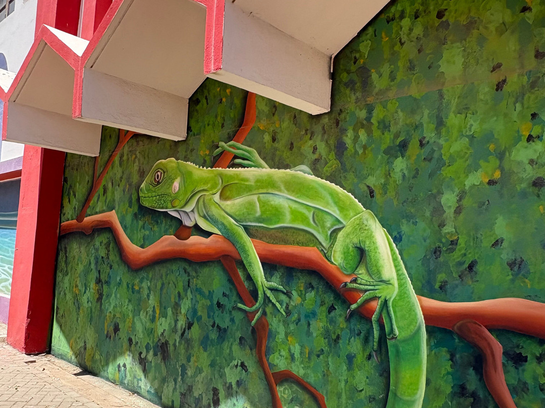 Street Murals By Aruba Art Fair-San Nicolas必去景点