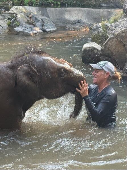 Elephant Freedom Village-清迈必去景点