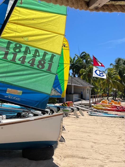 Curtain Bluff Resort-旅行者