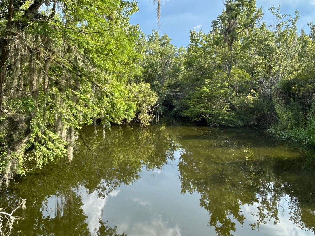 Welaka State Forest-Welaka必去景点