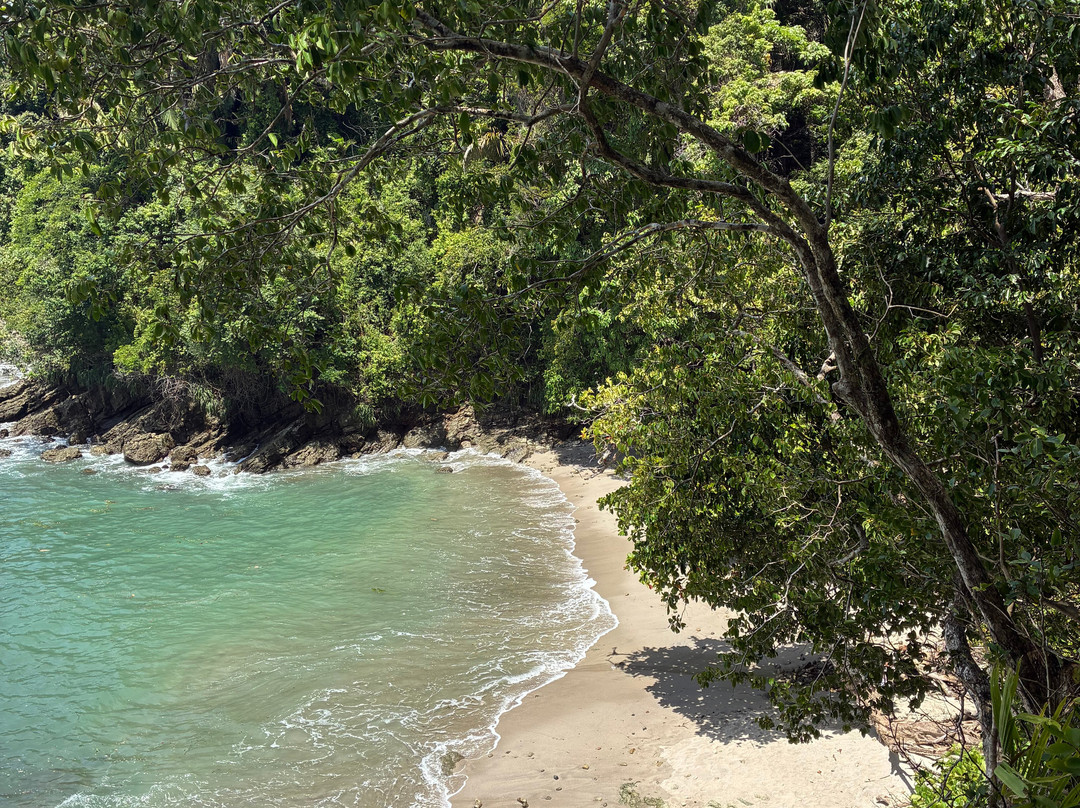 Manuel Antonio National Park-哥斯达黎加安东尼奥国家公园必去景点