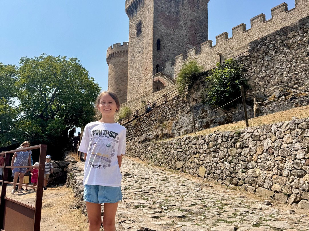 Chateau de Foix-Foix必去景点