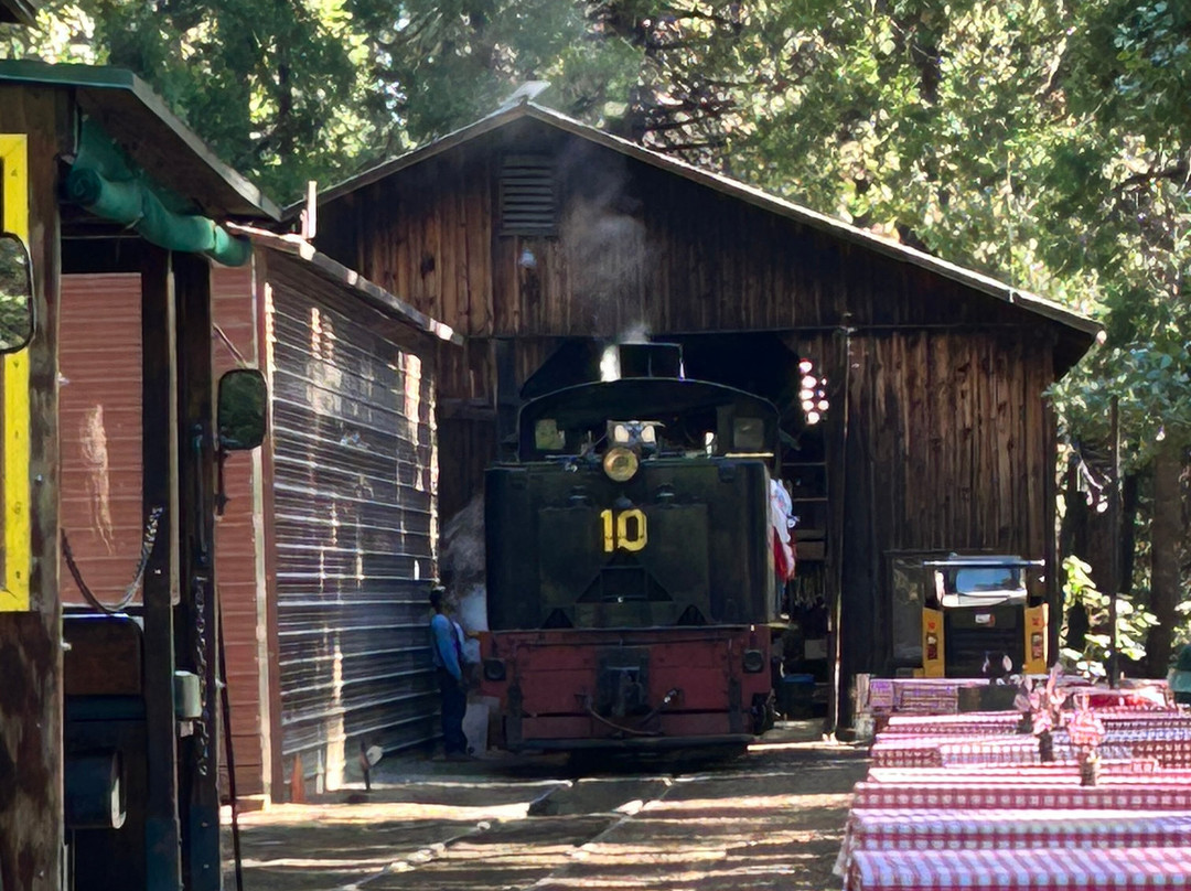 Yosemite Mountain Sugar Pine Railroad-菲什营必去景点
