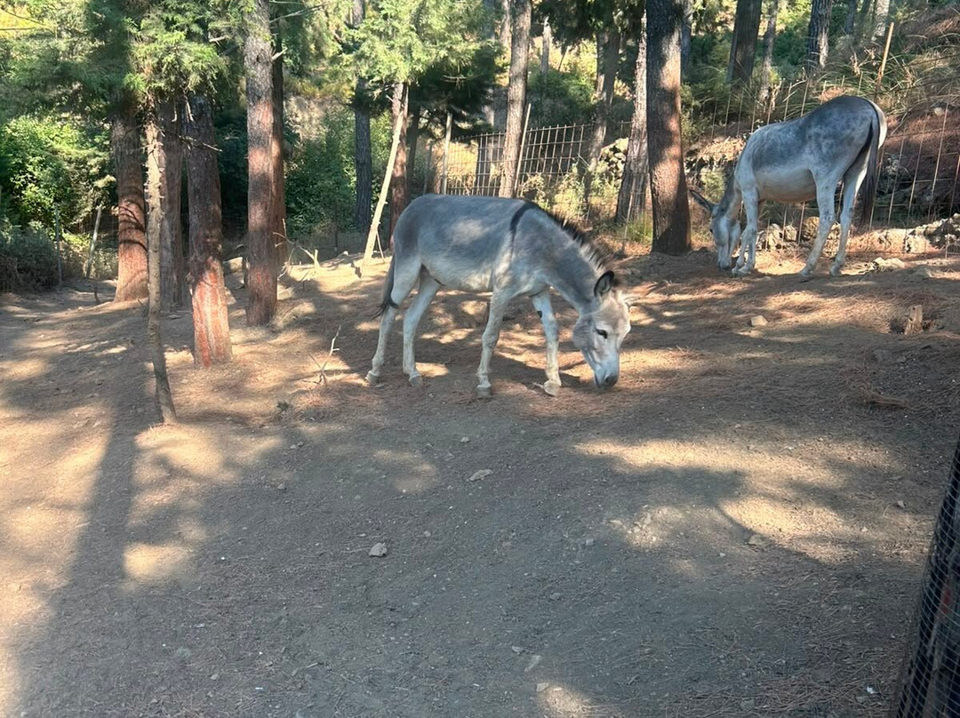 Kos Natural Park-Zia必去景点