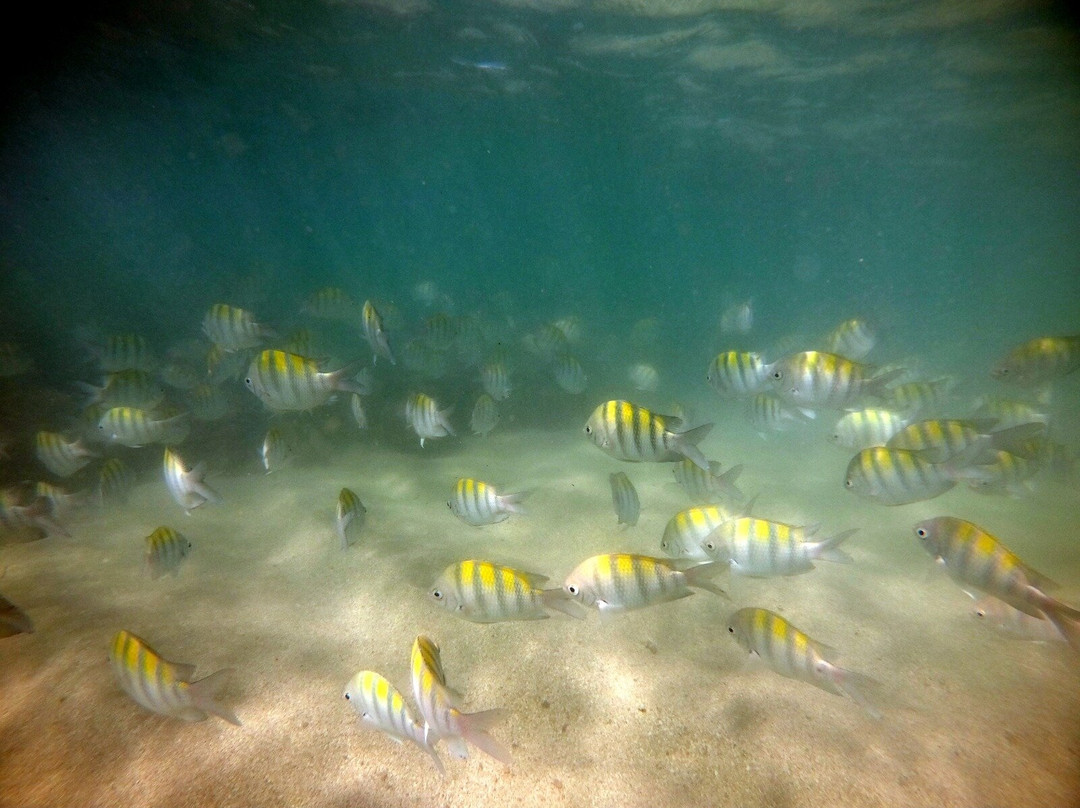 Milagres Mergulho-Sao Miguel dos Milagres必去景点