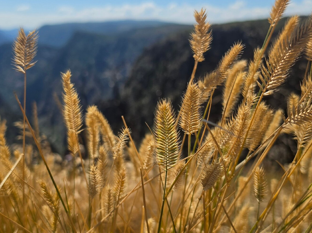 Black Canyon Of The Gunnison National Park-Black Canyon Of The Gunnison National Park必去景点