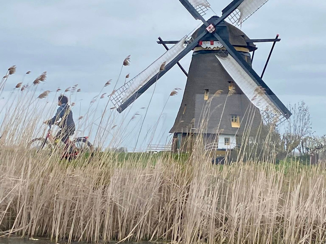 Museum Molen Blokweer-小孩堤防必去景点