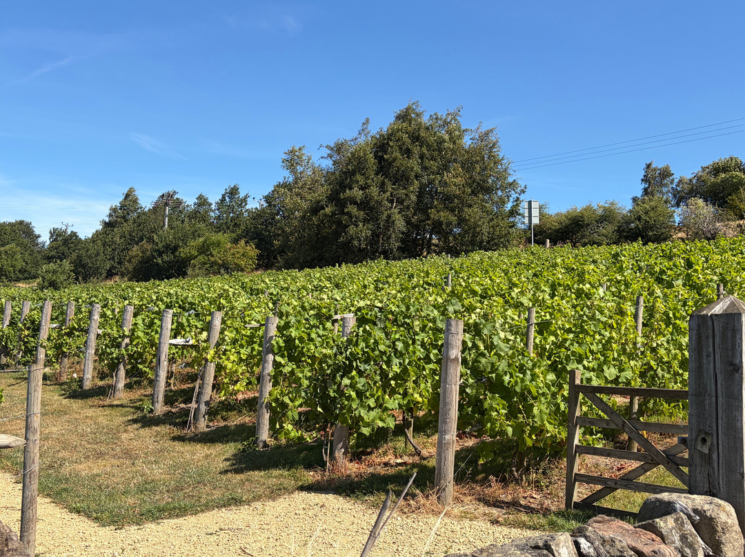 Helme Edge Vineyard-Holmfirth必去景点