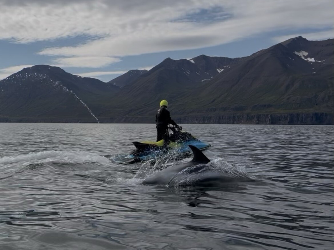 Fairytale At Sea-Olafsfjordur必去景点
