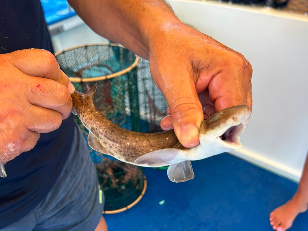 Pescaturismo K2-萨萨里省必去景点