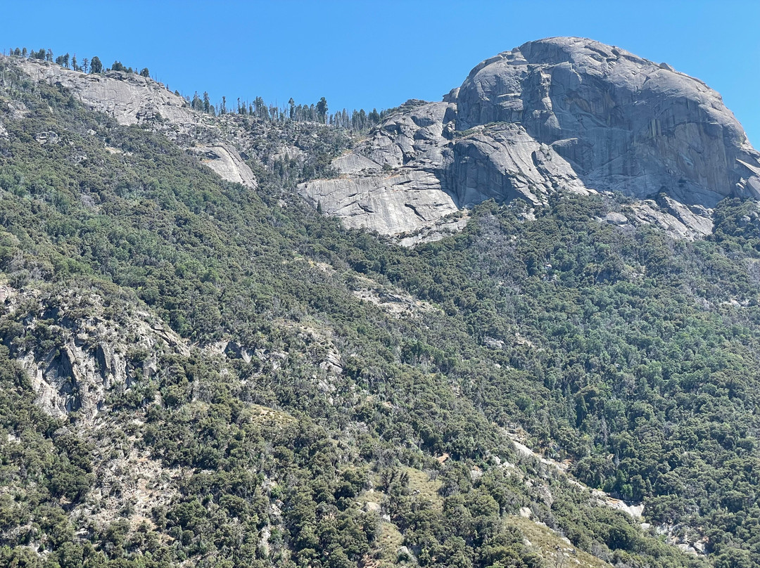 General Sherman Tree-红杉&国王峡谷国家公园必去景点