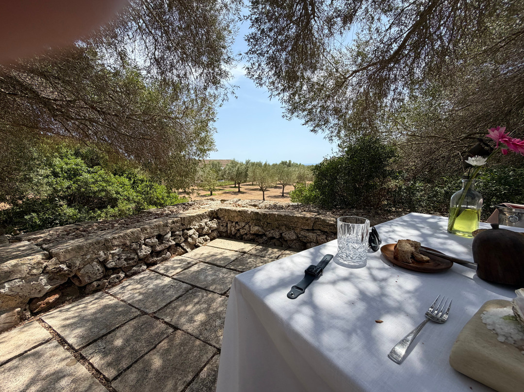 Bodegas Torralbenc-Cala en Porter必去景点