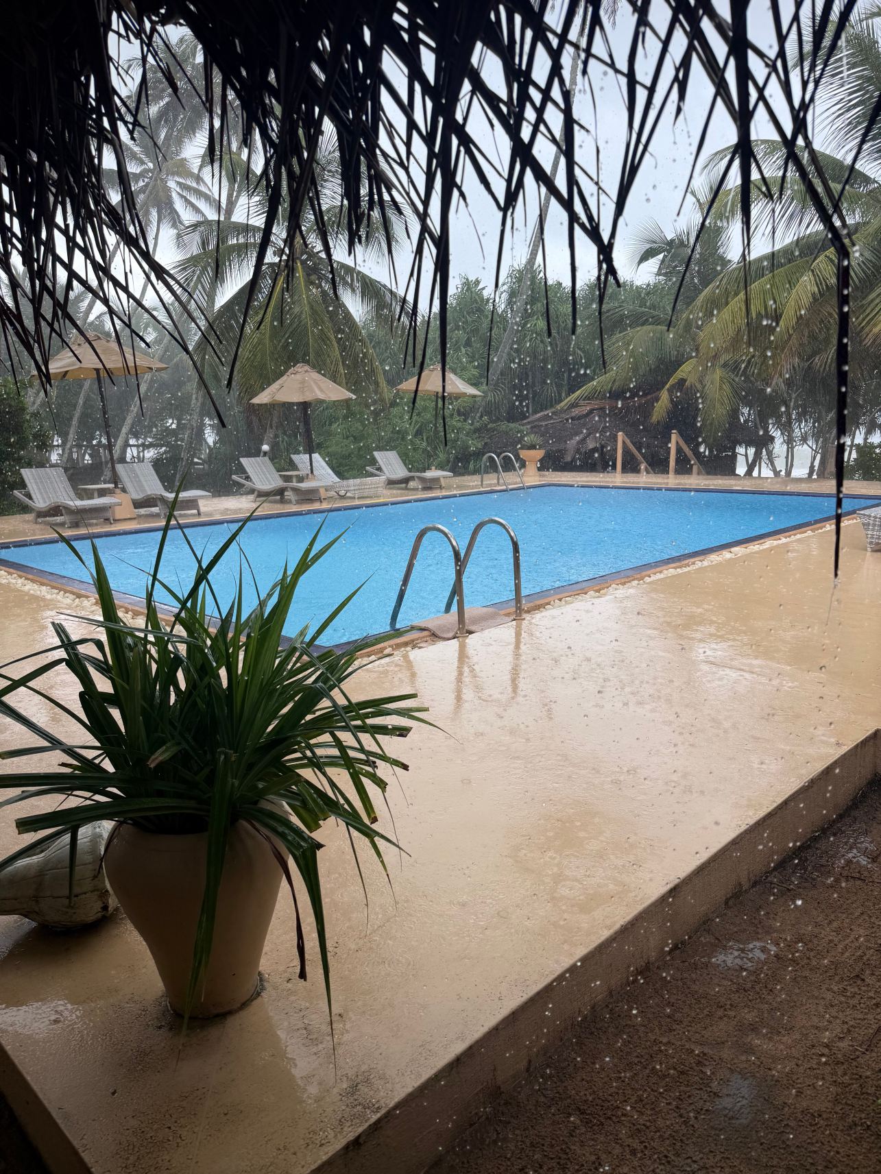 Golden Beach Paradise-旅行者