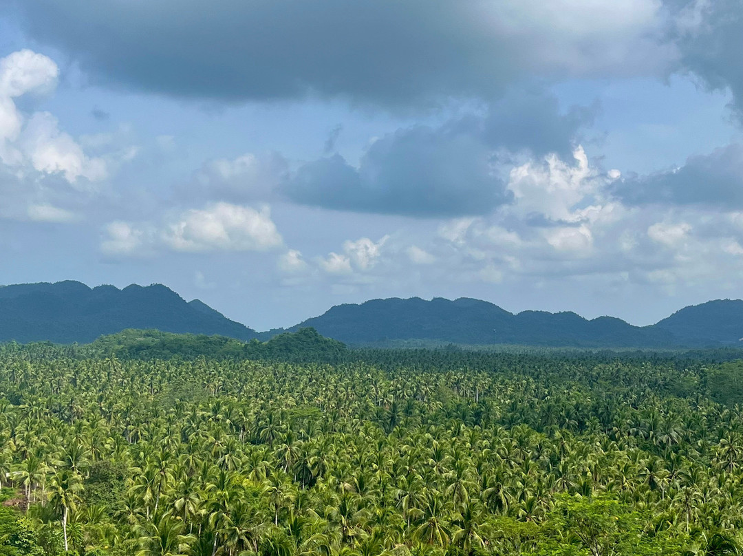 Coconut Trees View Deck-Dapa必去景点