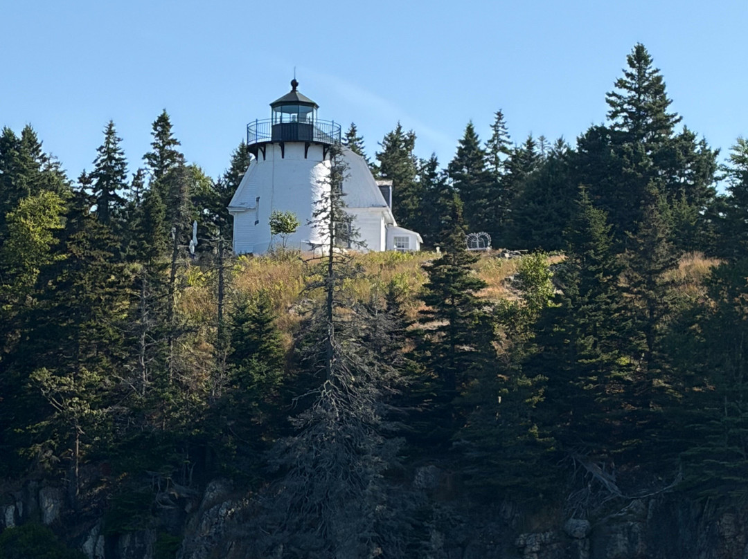 Bar Harbor Fishing Tours-山漠岛必去景点