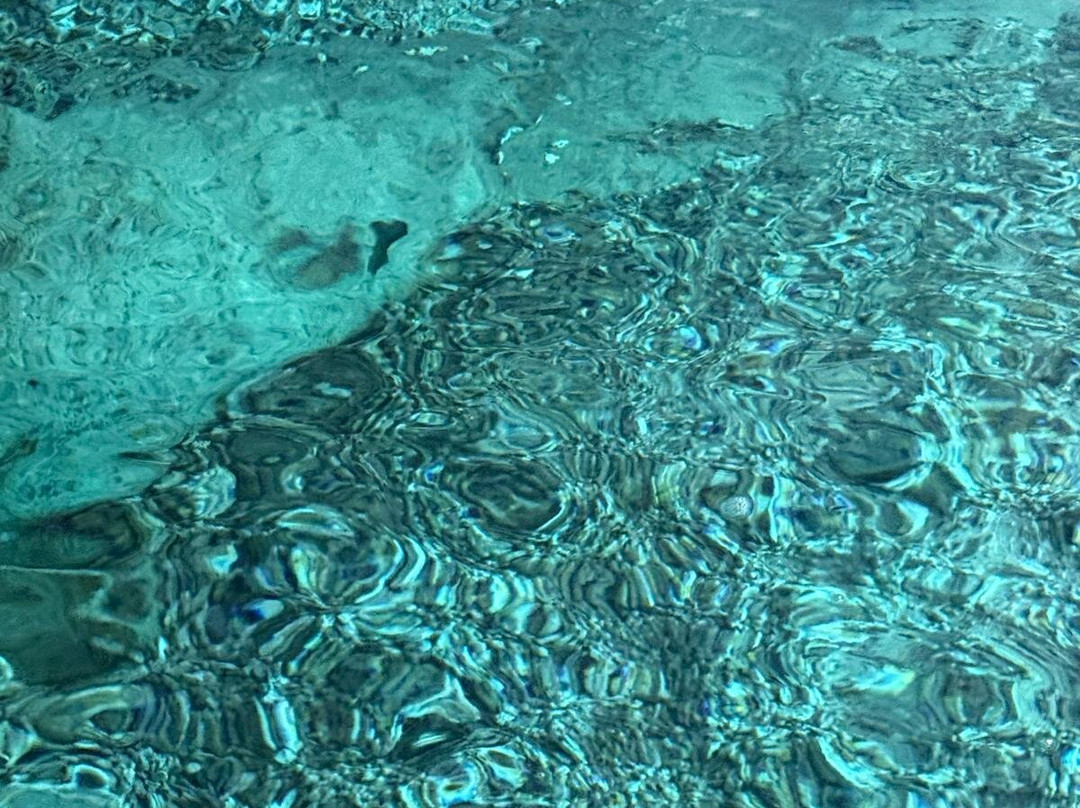 Niue OrientationTour-阿洛菲必去景点