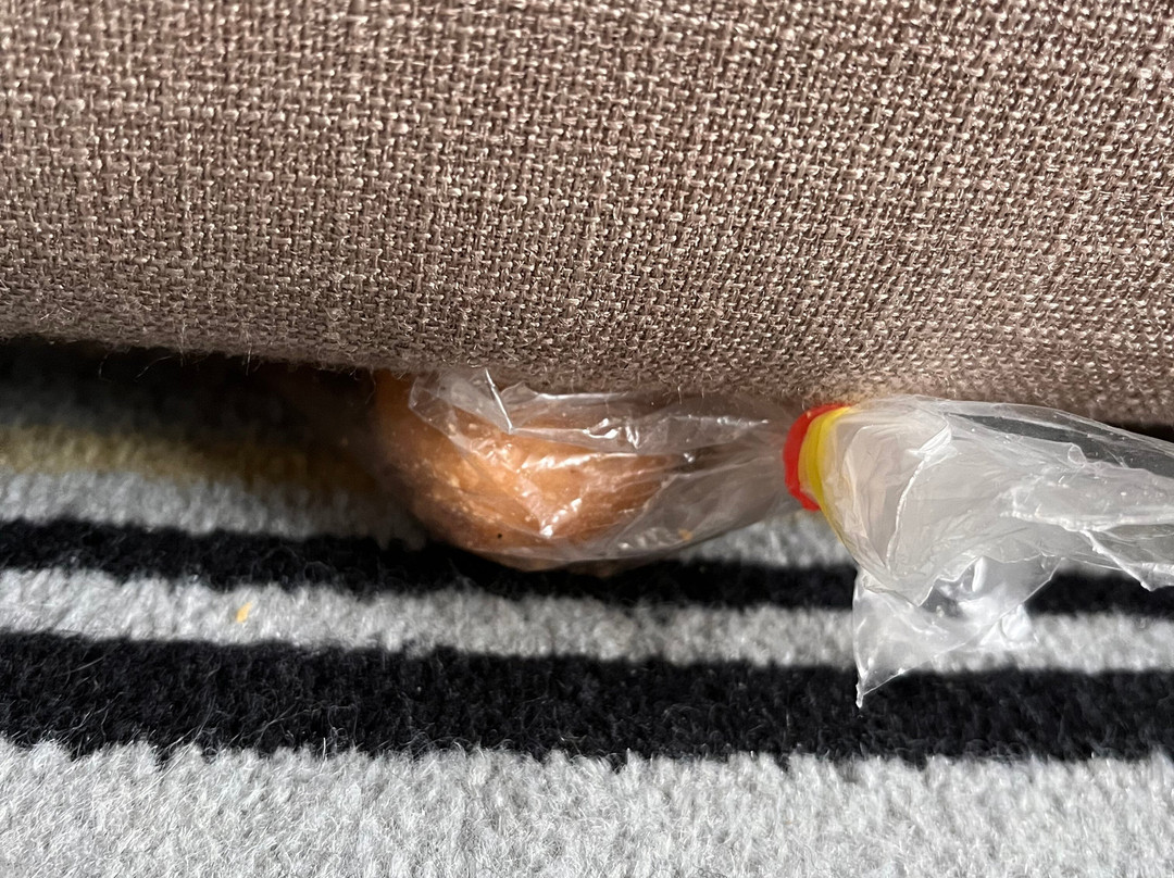 切斯特 - 南假日酒店主图