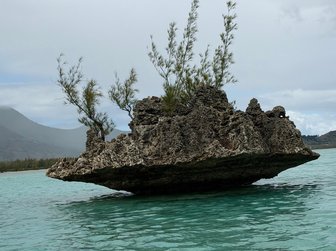 Vitamin Sea Mauritius-黑河必去景点