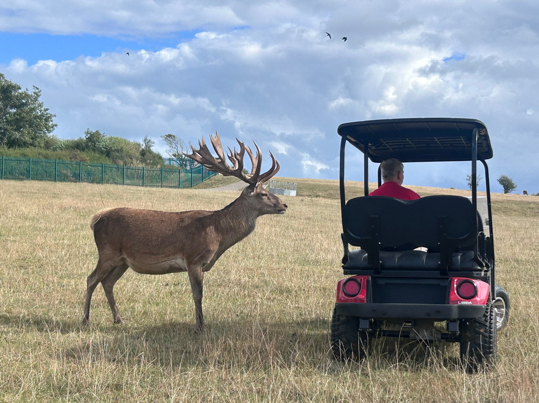 Great Wedlock Farm & Deer Park