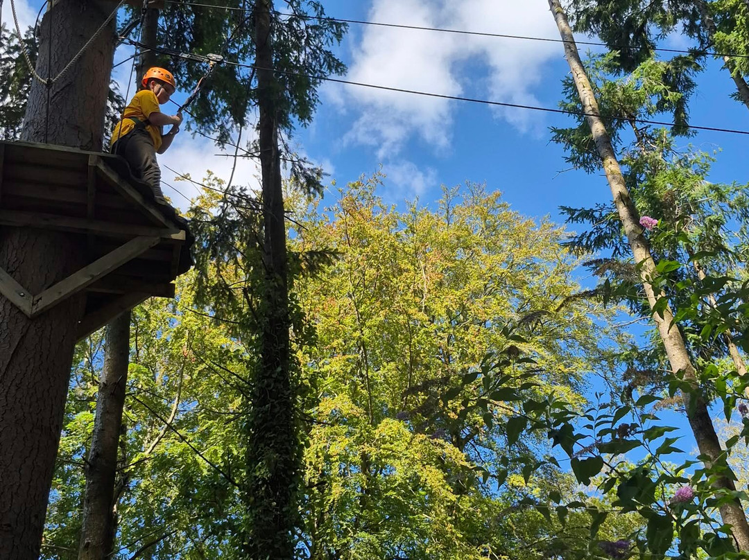 The Tunnel Tree Tops High Ropes-Charmouth必去景点