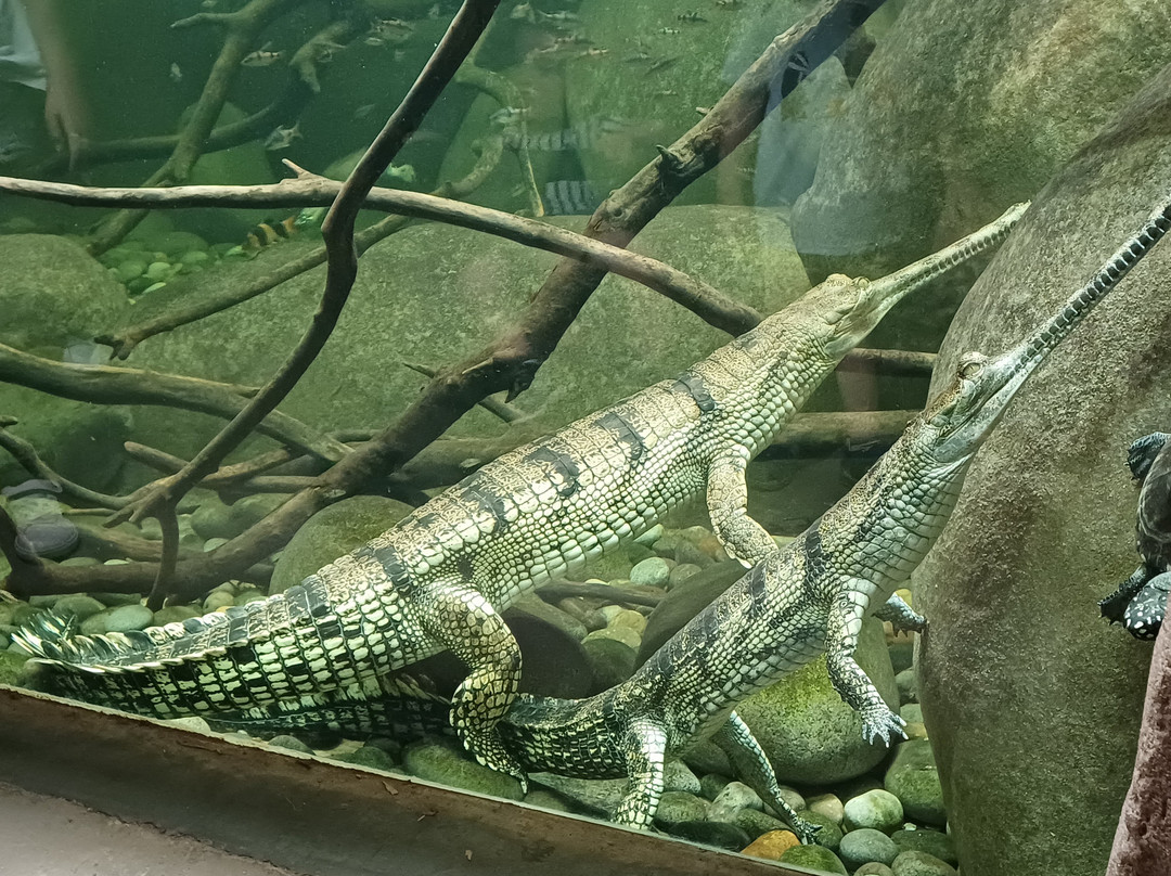 Les Jardins Animaliers Biotropica-Val de Reuil必去景点