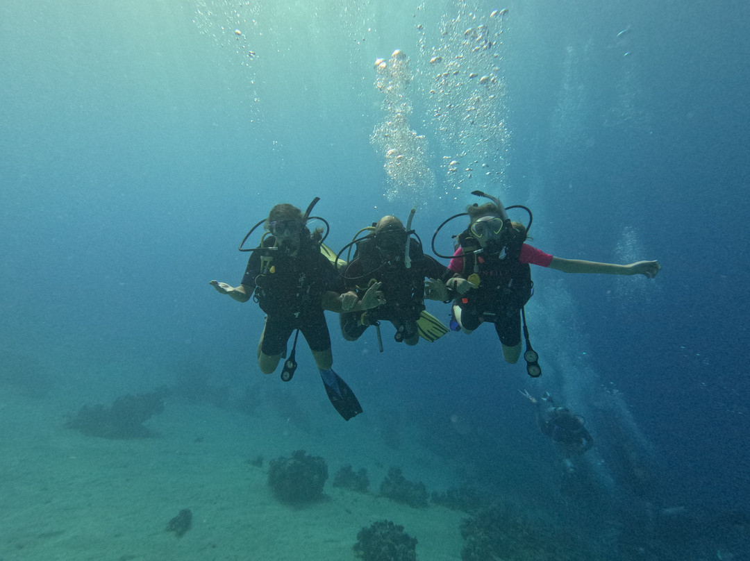 Aquarius Diving Club-马卡迪湾必去景点