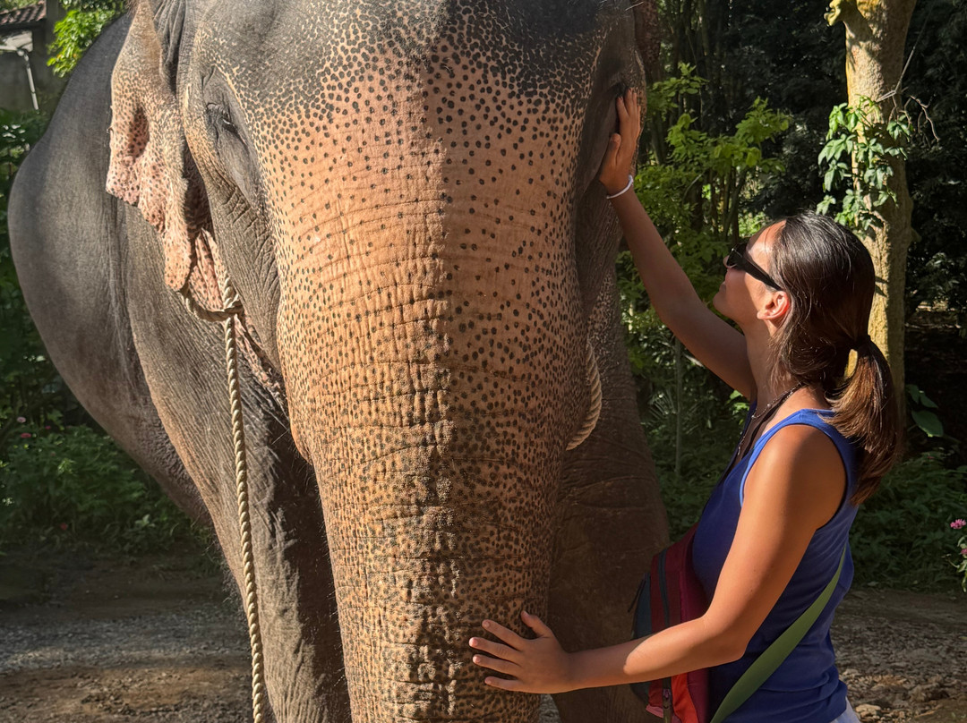 Visit Sri Lanka Holidays-Rambukkana必去景点