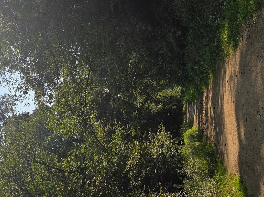 Elroy-Sparta State Trail-Elroy必去景点