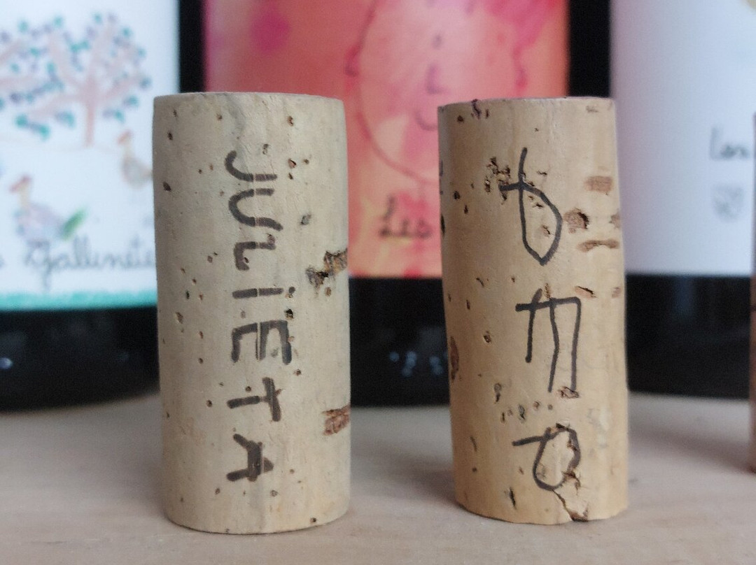 Celler Mas Foraster-Montblanc必去景点