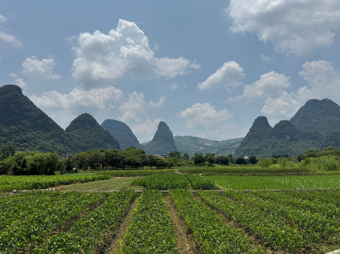 阳朔古迹山水园-阳朔县必去景点