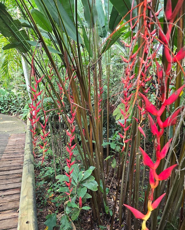 Jardin Botanico Lankester-Cartago必去景点