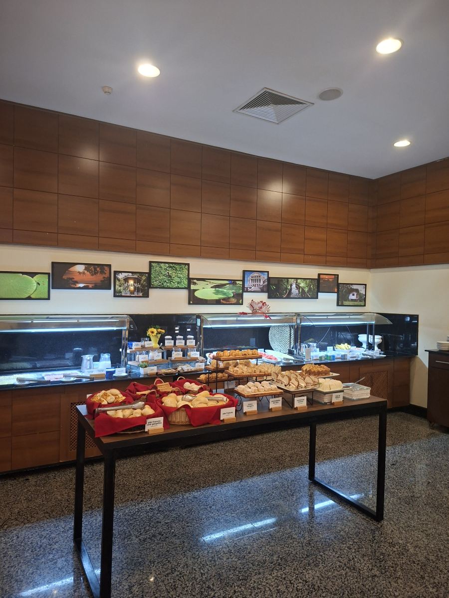 玛瑙斯假日酒店-旅行者