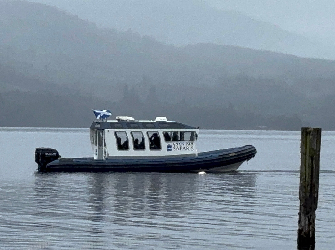 Loch Tay Safaris-Killin必去景点