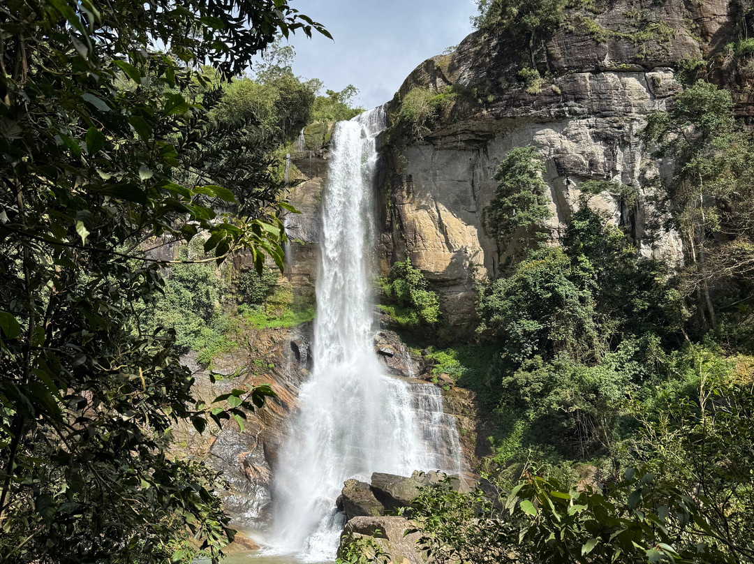 Andrews Eco Tours and Taxi-奴娃拉伊利雅必去景点