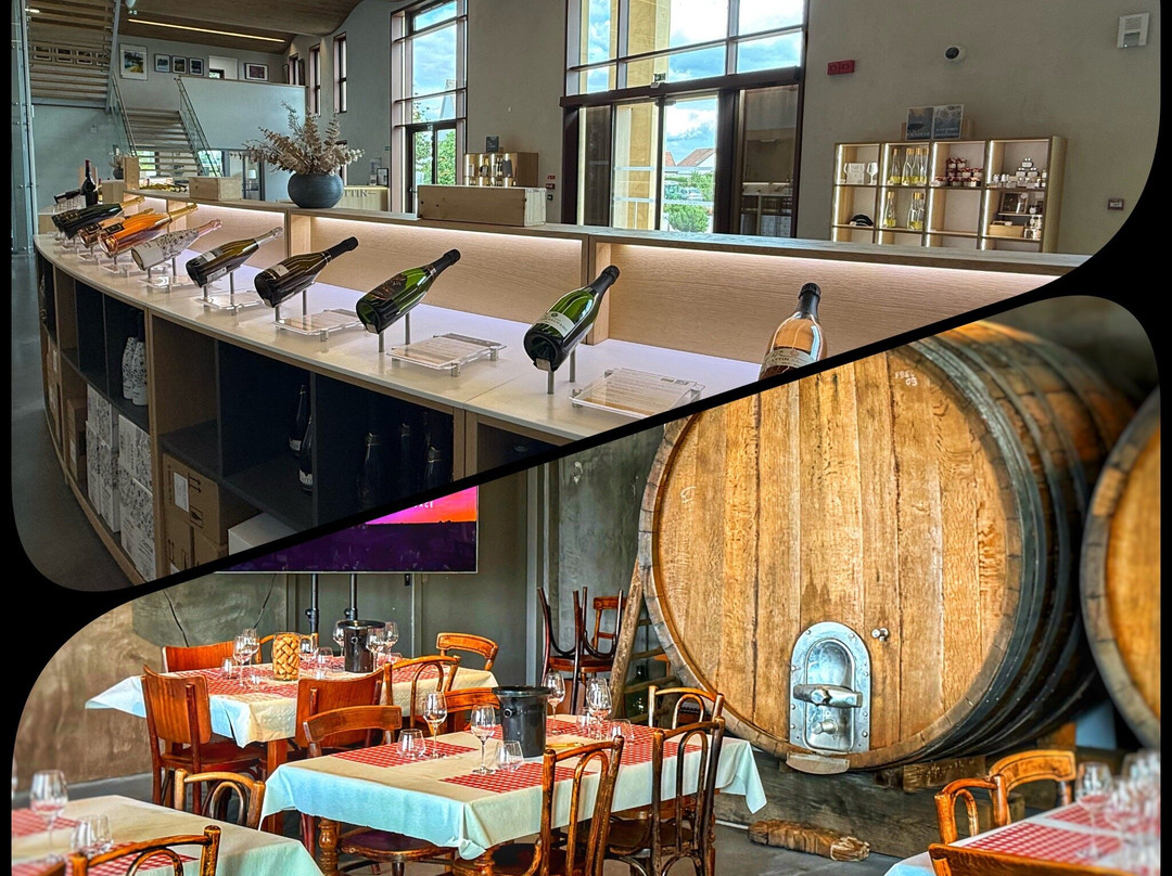CATTIN - Grands Vins & Cremants d'Alsace-Voegtlinshoffen必去景点
