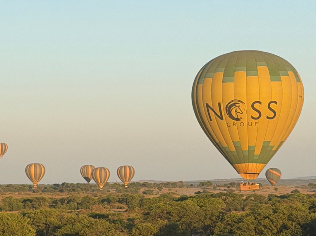 Nyssa Balloon Safaris-Seronera必去景点