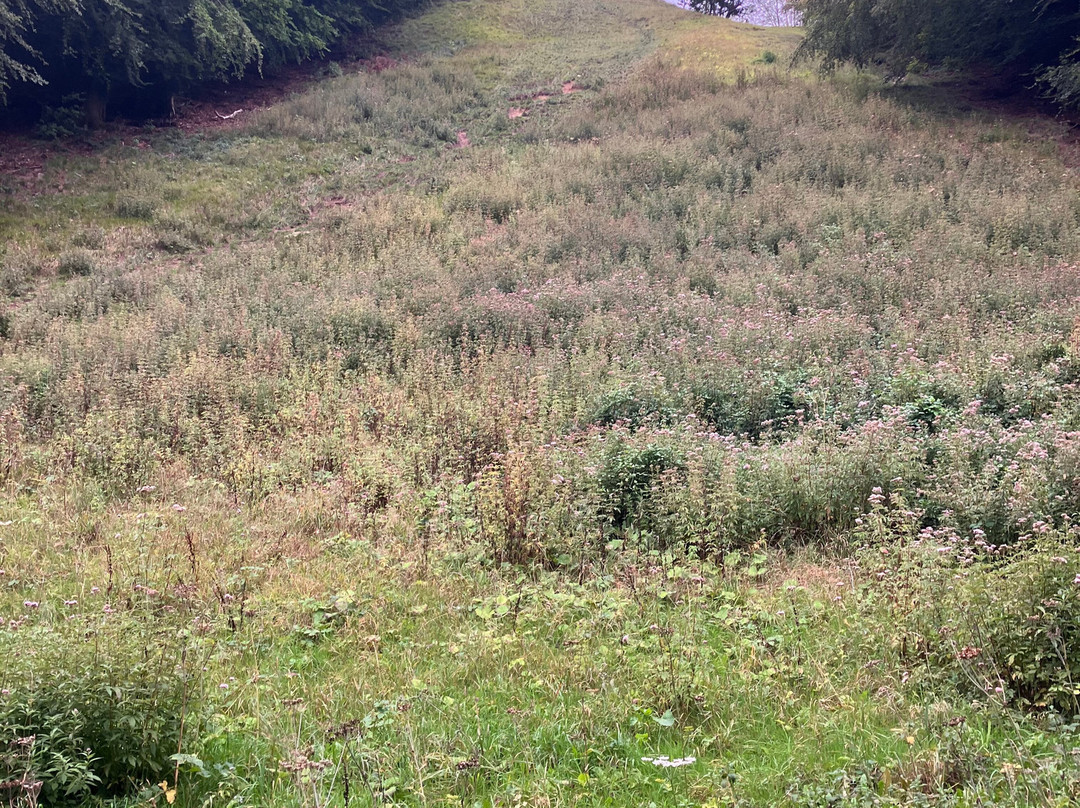 Cooper's Hill-Brockworth必去景点