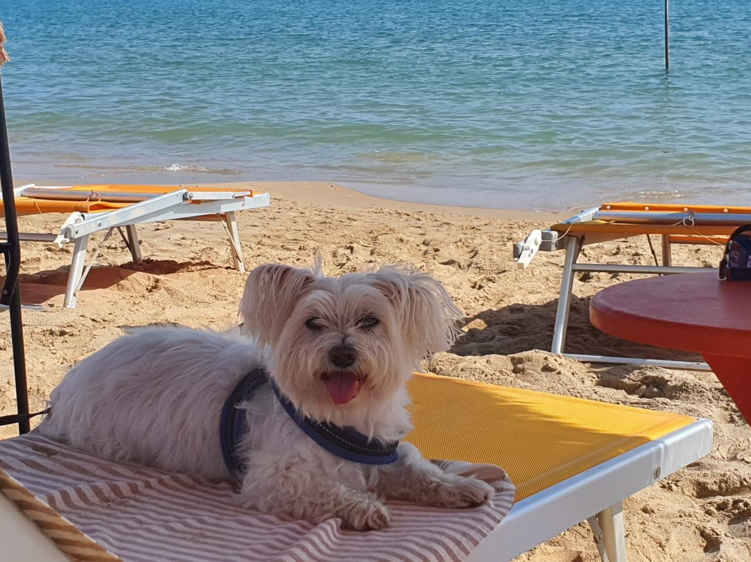 Scoobydoo Beach-Campomarino Lido必去景点