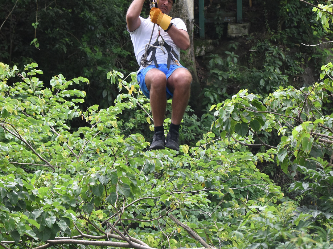 Antigua Rainforest Canopy Tour-安提瓜必去景点