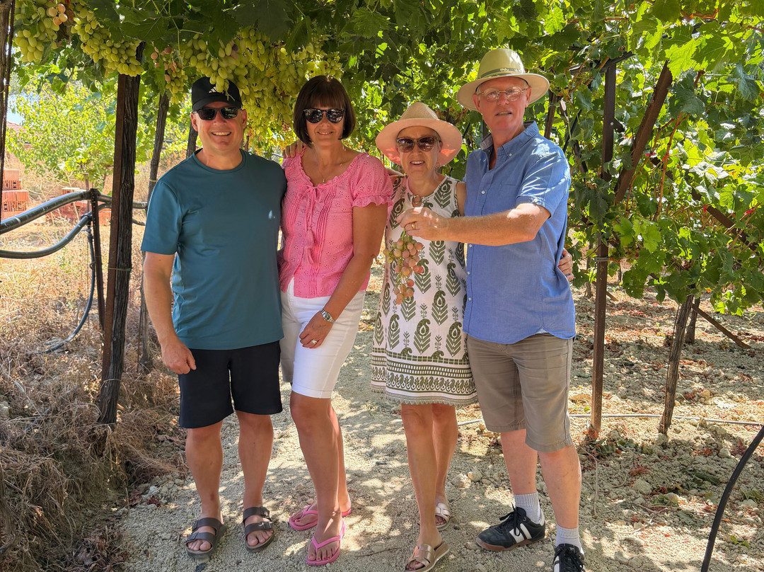 Fournarakis Winery-Episkopi必去景点