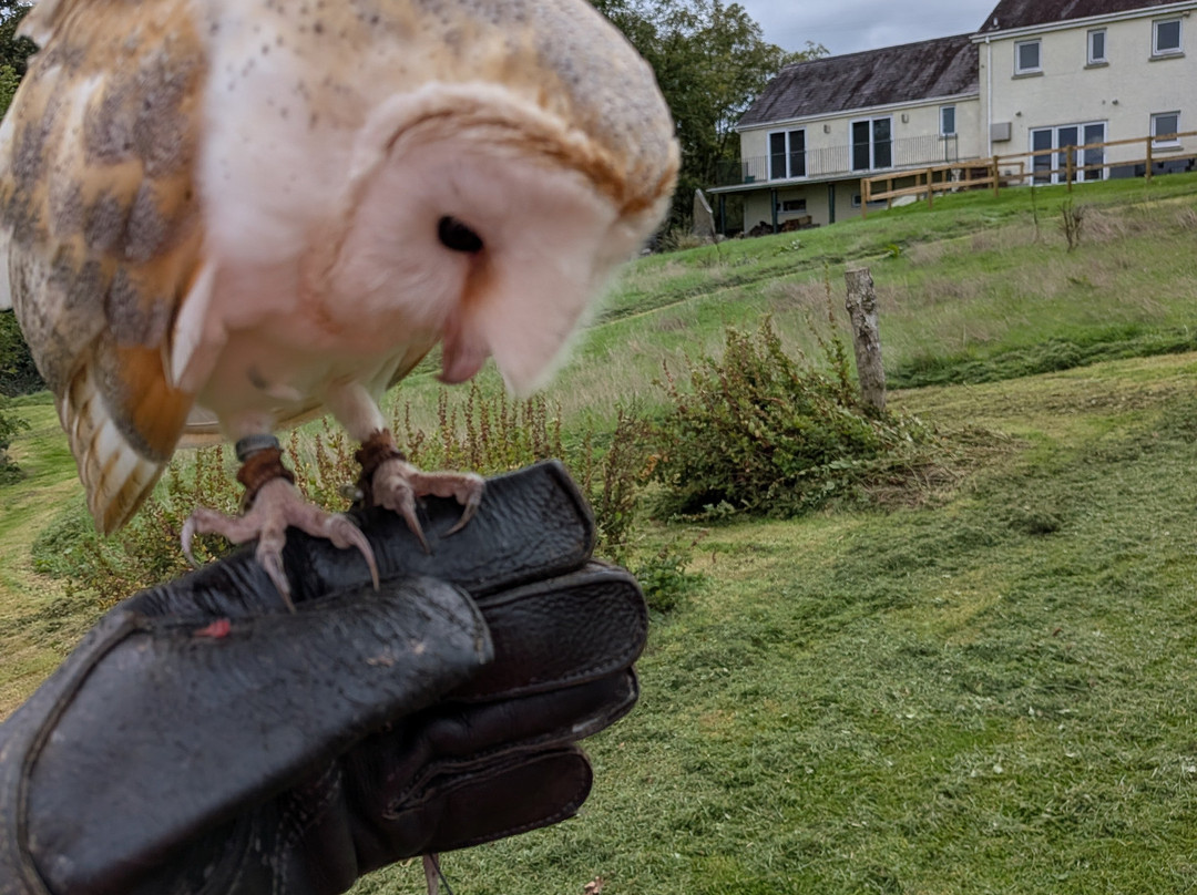 The British Bird of Prey Centre-喀麦登必去景点