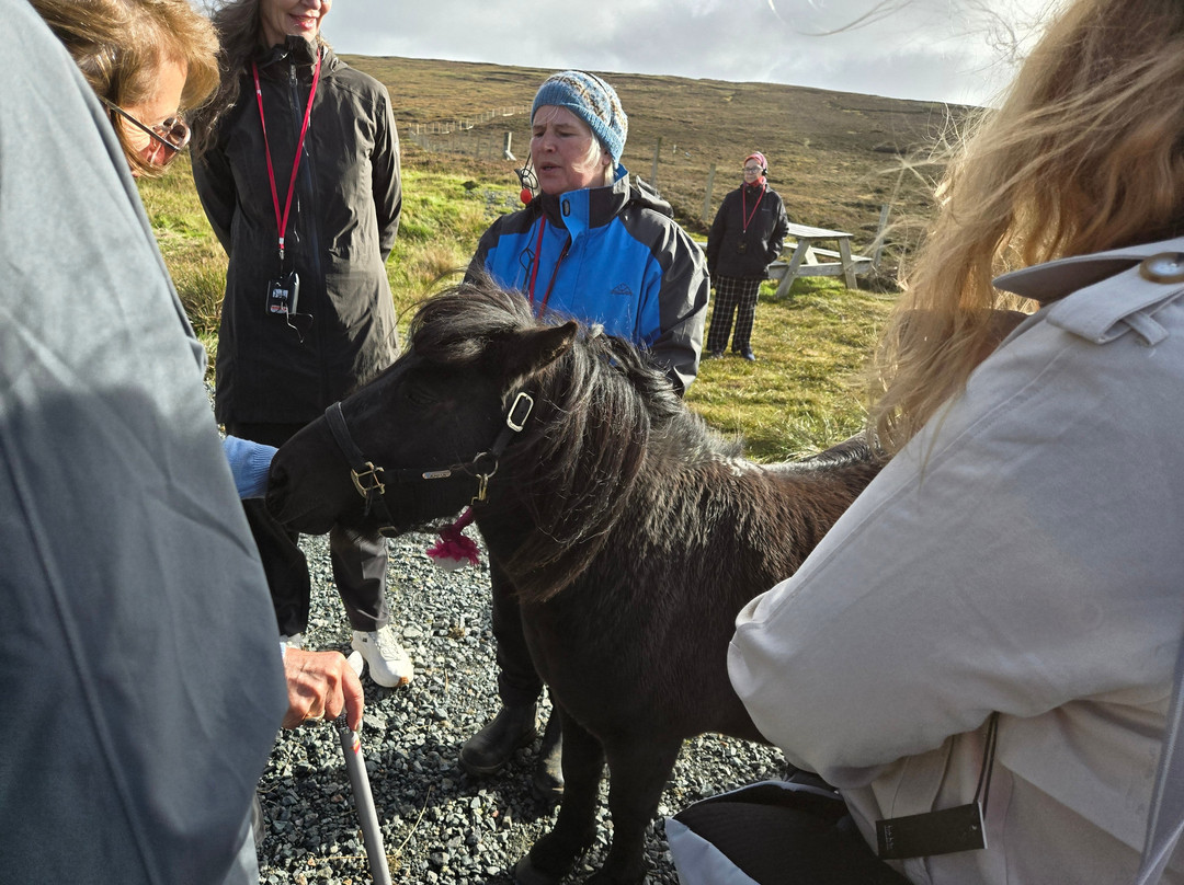 Shetland Rural Experience-Tingwall必去景点
