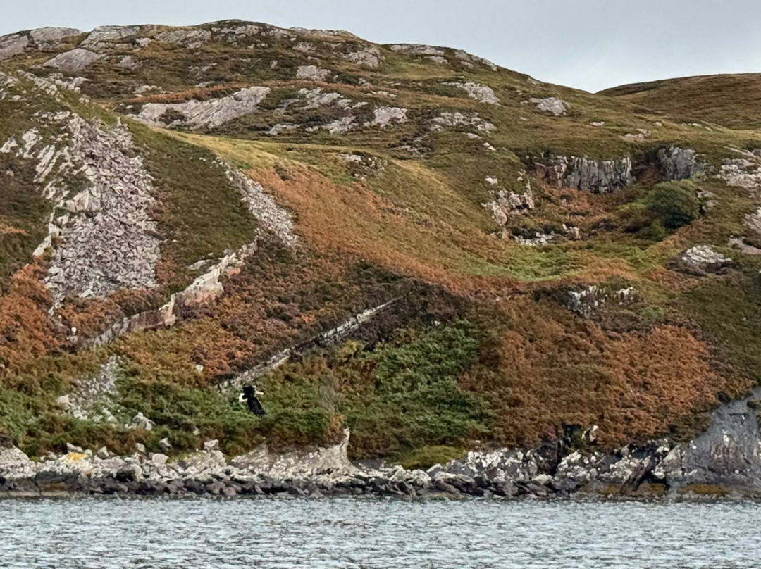 Stardust Boat Trips Portree-Portree必去景点