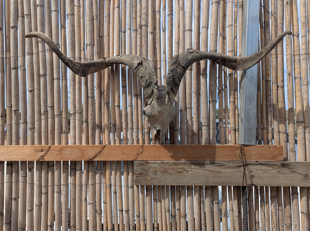 Crios Beach Bar & Restaurant