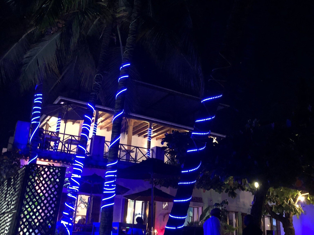 Stone Town-桑给巴尔市必去景点