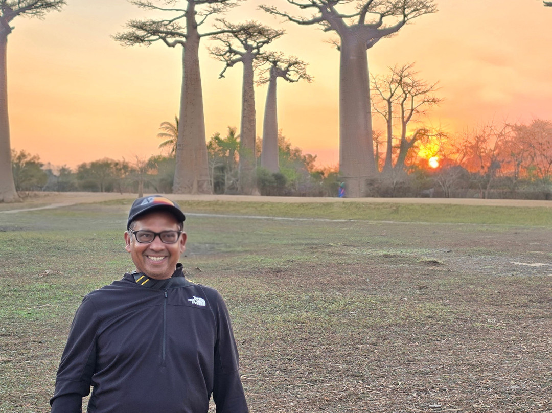 Avenue of the Baobabs-Morondava必去景点