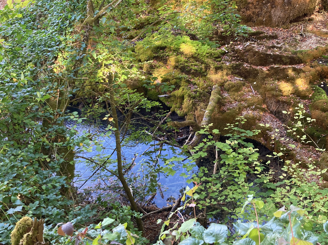 La Tuffière Source Pétrifiante-Rolampont必去景点