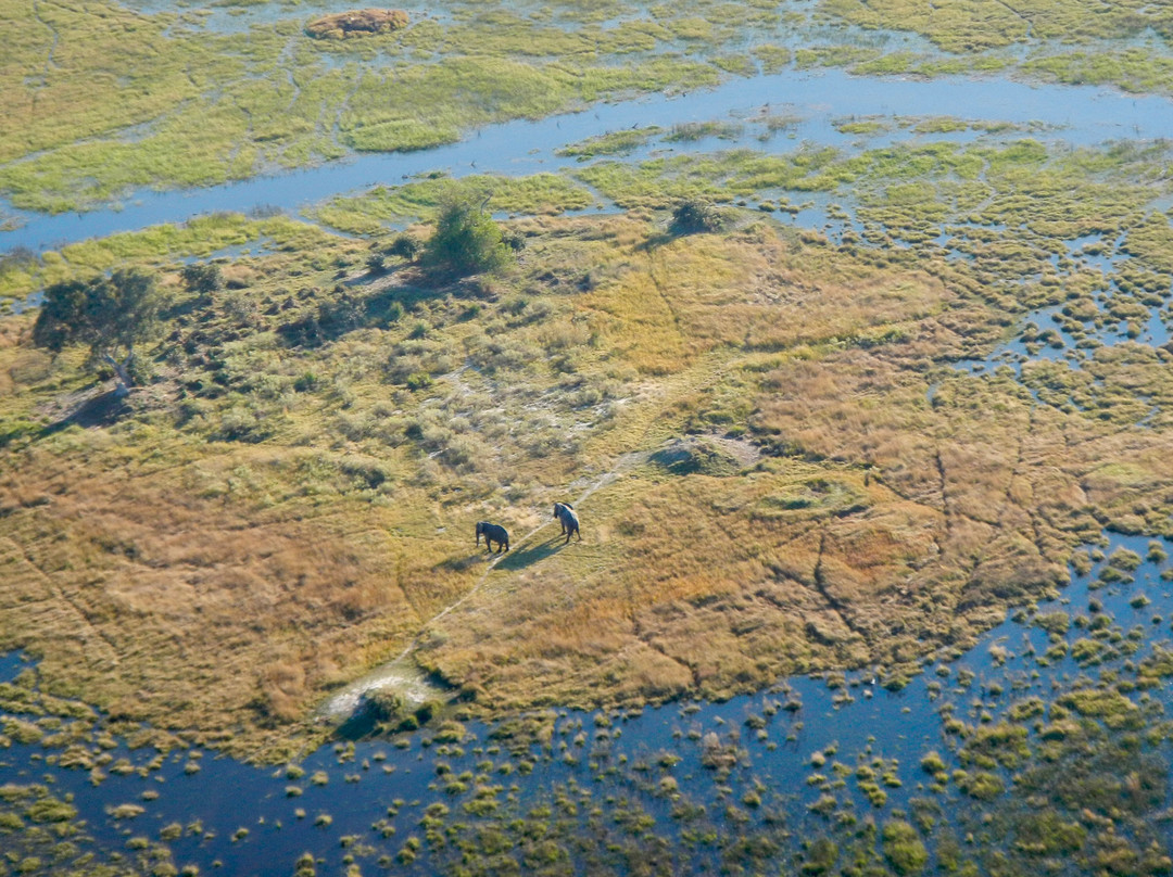 Okavango Delta-马翁必去景点